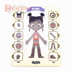 Corpo Humano Menina Negra Inglês