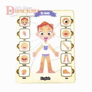 Corpo Humano Menino Inglês