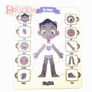 Corpo Humano Menino Negro Inglês