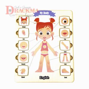 Corpo Humano Menina Inglês